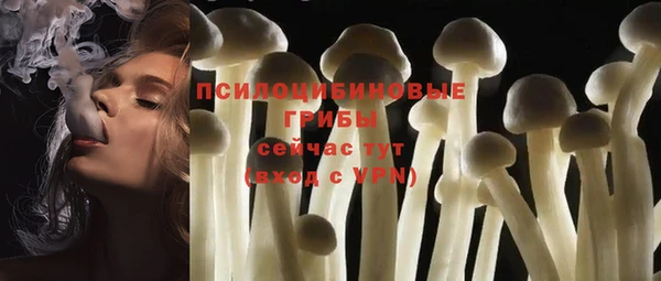 МДПВ Армянск