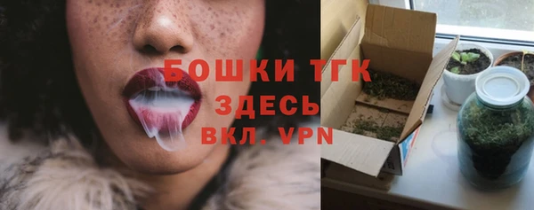 трава Арсеньев