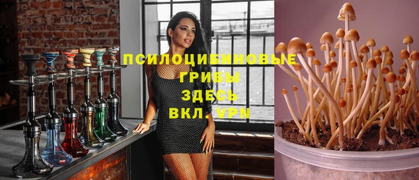 мескалин Аркадак