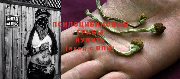 МДПВ Армянск