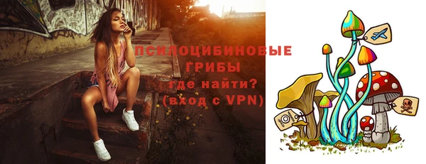 трава Арсеньев