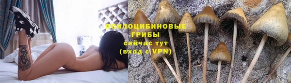 МДПВ Армянск