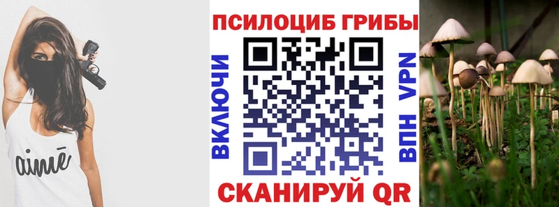 купить наркоту  Полысаево  Галлюциногенные грибы ЛСД 
